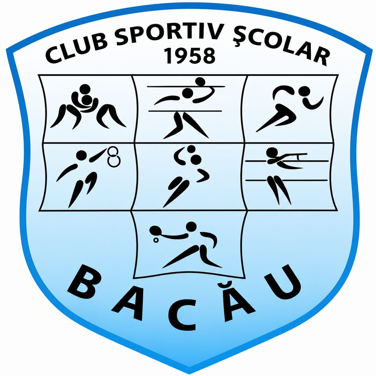 Sigla CSS Bacău