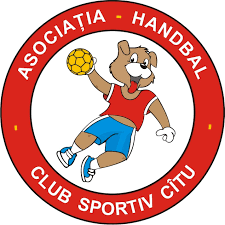 Siglă AHCS CITU Timișoara