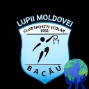 Siglă CSS Bacău
