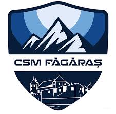 Siglă CSS Făgăraș